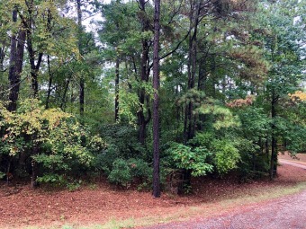 Lake Lot Off Market in Broaddus, Texas