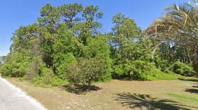 North Lake - Marion County Acreage For Sale in Silver Springs Florida
