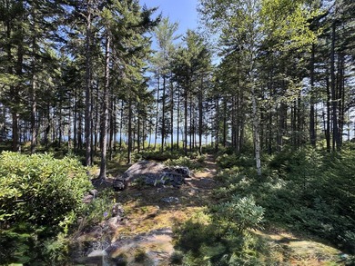 Unique island retreat opportunity on Mooselookmeguntic Lake! - photo 9
