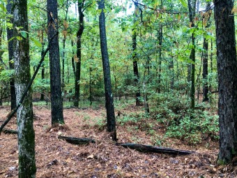 Looking to be in a highly desired area for a great weekend - Lake Lot For Sale in Broaddus, Texas
