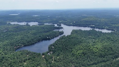 GREAT DEAL! Your ultimate nature getaway! Fall in love with this - photo 3