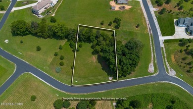 Build Your Dream Home with Lake & Mountain Views! Don't miss - photo 3
