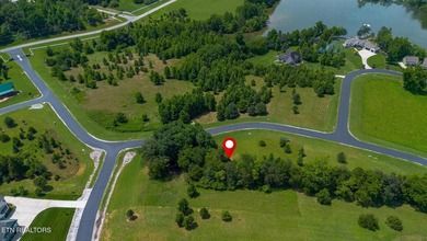 Build Your Dream Home with Lake & Mountain Views! Don't miss - photo 5