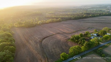 This 207.26+/--acre tract in Madison County, Mississippi, offers - photo 21