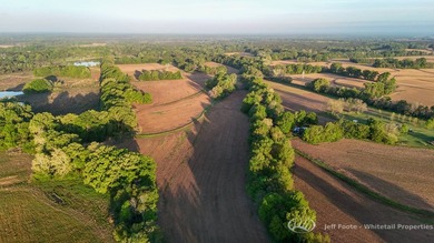 This 207.26+/--acre tract in Madison County, Mississippi, offers - photo 22