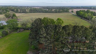 This 207.26+/--acre tract in Madison County, Mississippi, offers - photo 29