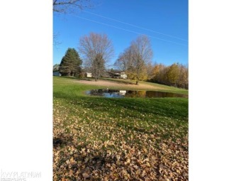 (private lake, pond, creek) Home Sale Pending in Watertown Michigan