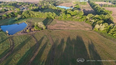 This 207.26+/--acre tract in Madison County, Mississippi, offers - photo 34