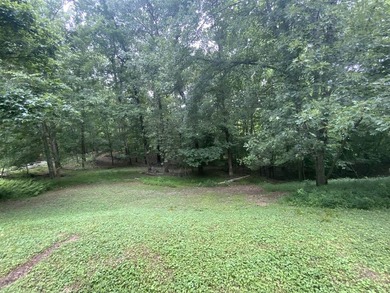 Lakefront Cabin & Lot on Beautiful Nolin Lake - Edmonson County - photo 4