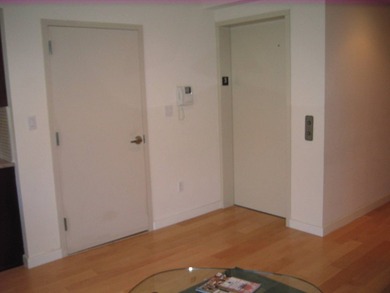 This modern construction luxury building is located steps from - photo 6