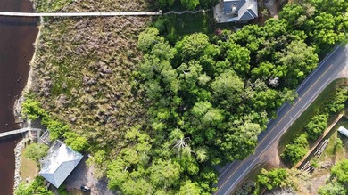 One of the few vacant lots on Perdido Bay left with just over - photo 6