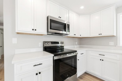 This beautifully renovated single-family home is move-in ready - photo 10
