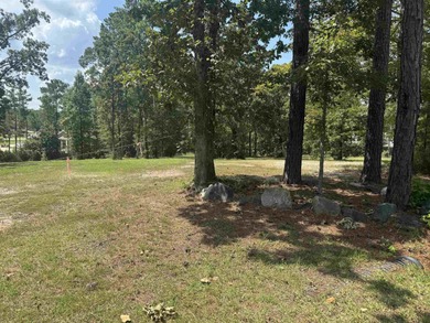 Lake Lot For Sale in Brookeland, Texas
