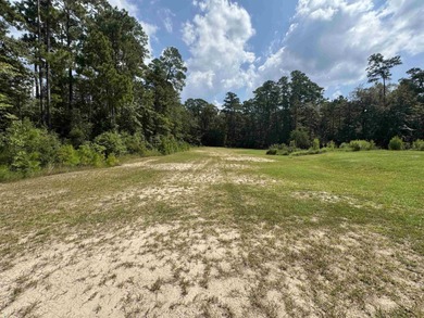 Lake Acreage For Sale in Brookeland, Texas