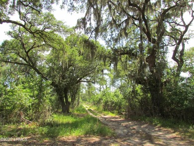 Seabrook Farm which consists of 318+- acres of open fields and - photo 12