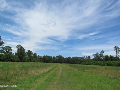 Seabrook Farm which consists of 318+- acres of open fields and - photo 13