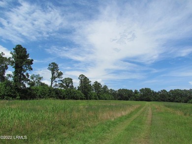 Seabrook Farm which consists of 318+- acres of open fields and - photo 14