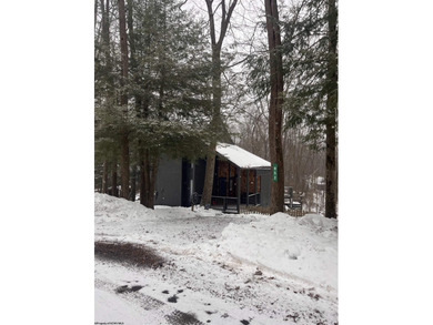 Lake Home For Sale in Terra Alta, West Virginia