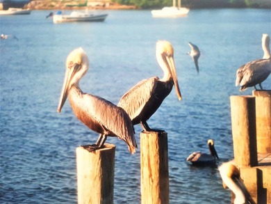 Beautiful Townhome in Harbour Isles section of Lake Charles. CBS - photo 39