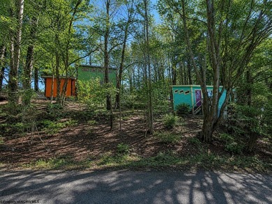 Investment Opportunity in the Heart of Thomas, WV! Discover a - photo 1