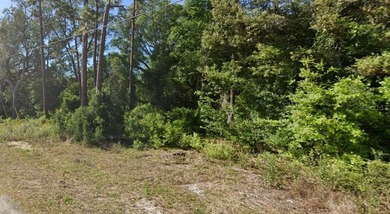 North Lake - Marion County Lot For Sale in Ocklawaha Florida