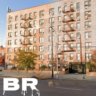 BACK ON THE MARKET! BROOKLYN TOP FLOOR COOP FOR SALE: MADISON - - photo 1