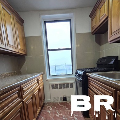 BACK ON THE MARKET! BROOKLYN TOP FLOOR COOP FOR SALE: MADISON - - photo 4
