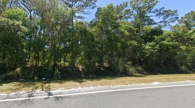 North Lake - Marion County Lot For Sale in Ocklawaha Florida