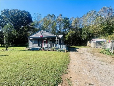 (private lake, pond, creek) Home For Sale in Stockport Ohio