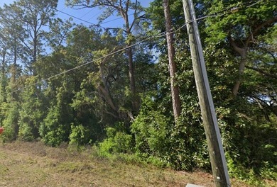 North Lake - Marion County Lot For Sale in Ocklawaha Florida