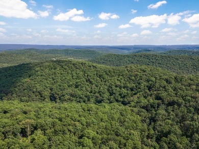 Hollister & Branson, MO - FOR SALE 1400 contiguous acres with - photo 5