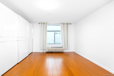 Flushing newerly elevator condominium- spacious 2-bedroom - photo 6