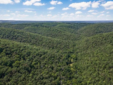 Hollister & Branson, MO - FOR SALE 1400 contiguous acres with - photo 6