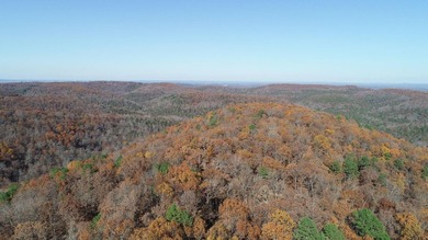 Hollister & Branson, MO - FOR SALE 1400 contiguous acres with - photo 7