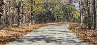 Hollister & Branson, MO - FOR SALE 1400 contiguous acres with - photo 9