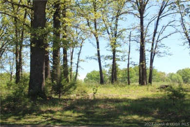 Lake of the Ozarks Lot For Sale in Laurie Missouri