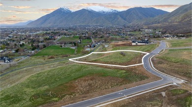 Perched above Utah County with sweeping views in every direction - photo 6
