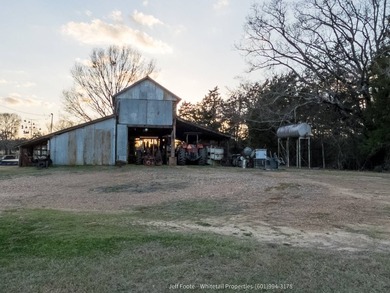 This 25.48+/- acre property in Hinds County combines residential - photo 4