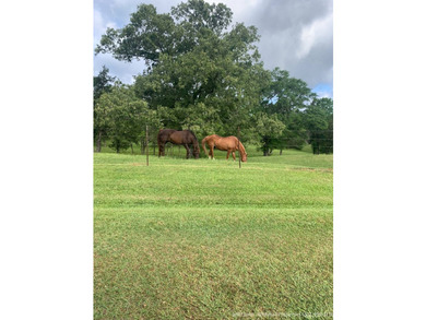 This 25.48+/- acre property in Hinds County combines residential - photo 9