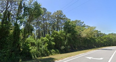 North Lake - Marion County Lot For Sale in Ocklawaha Florida