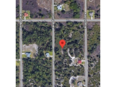 Lehigh Acres Area Lot For Sale in Lehigh Acres Florida