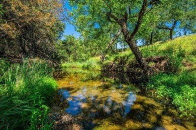 Lake Lot For Sale in Johnson City, Texas