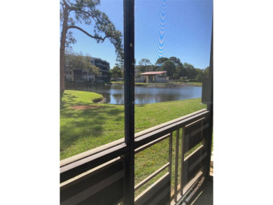 Lake Condo For Sale in St. Petersburg, Florida