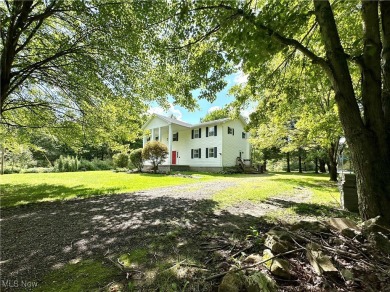 Lake Home For Sale in Bristolville, Ohio