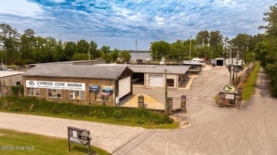 Cypress Cove Marina offers a unique combination of an - photo 19
