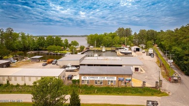 Cypress Cove Marina offers a unique combination of an - photo 20