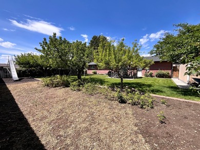 Newly remodeled home in a wonderful neighborhood. Beautiful yard - photo 29