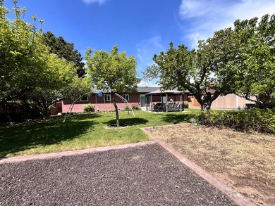 Newly remodeled home in a wonderful neighborhood. Beautiful yard - photo 30