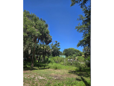 Discover a rare opportunity to build in one of St. Augustine's - photo 3