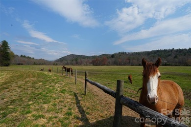 Discover an exceptional opportunity to own 405 acres of pristine - photo 9